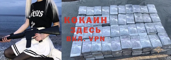 стаф Дубна