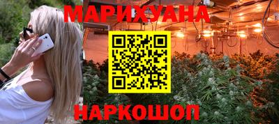 сатива Бийск