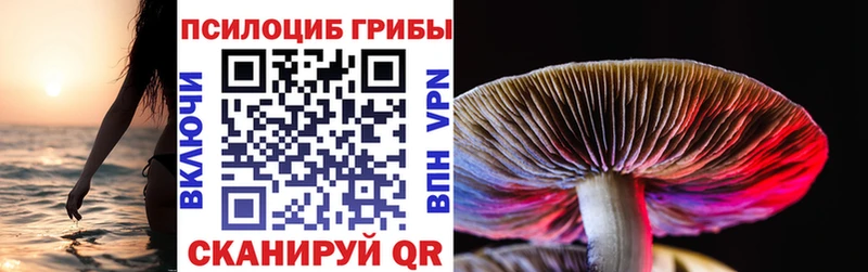 Псилоцибиновые грибы GOLDEN TEACHER  Дмитров 