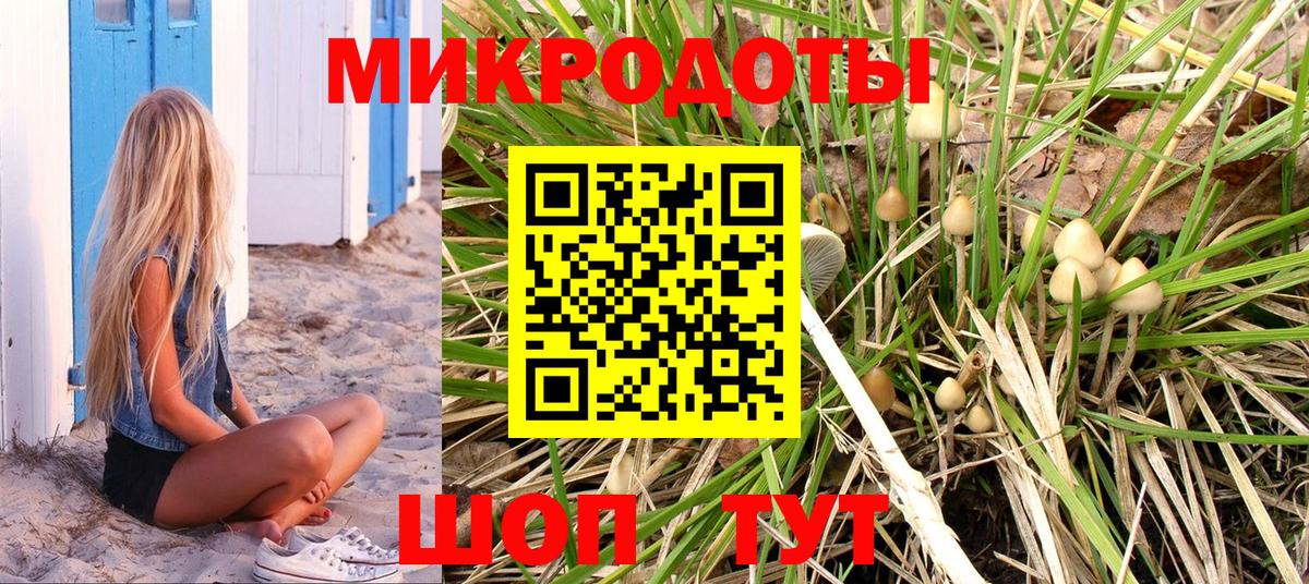 Галлюциногенные грибы мицелий  Псилоцибиновые грибы GOLDEN TEACHER  Дмитров  Вход с VPN 