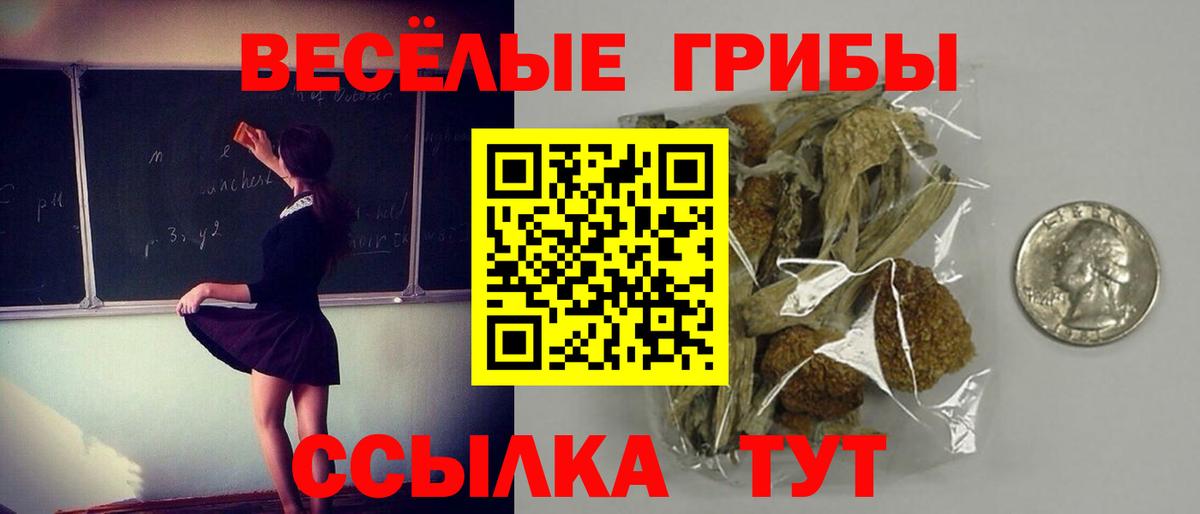 Псилоцибиновые грибы Magic Shrooms Дмитров
