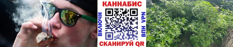 hydra как войти  Дмитров  Бошки марихуана индика 